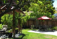 Example of Backyard Garden Lansdscaping in Chico with Native Plants