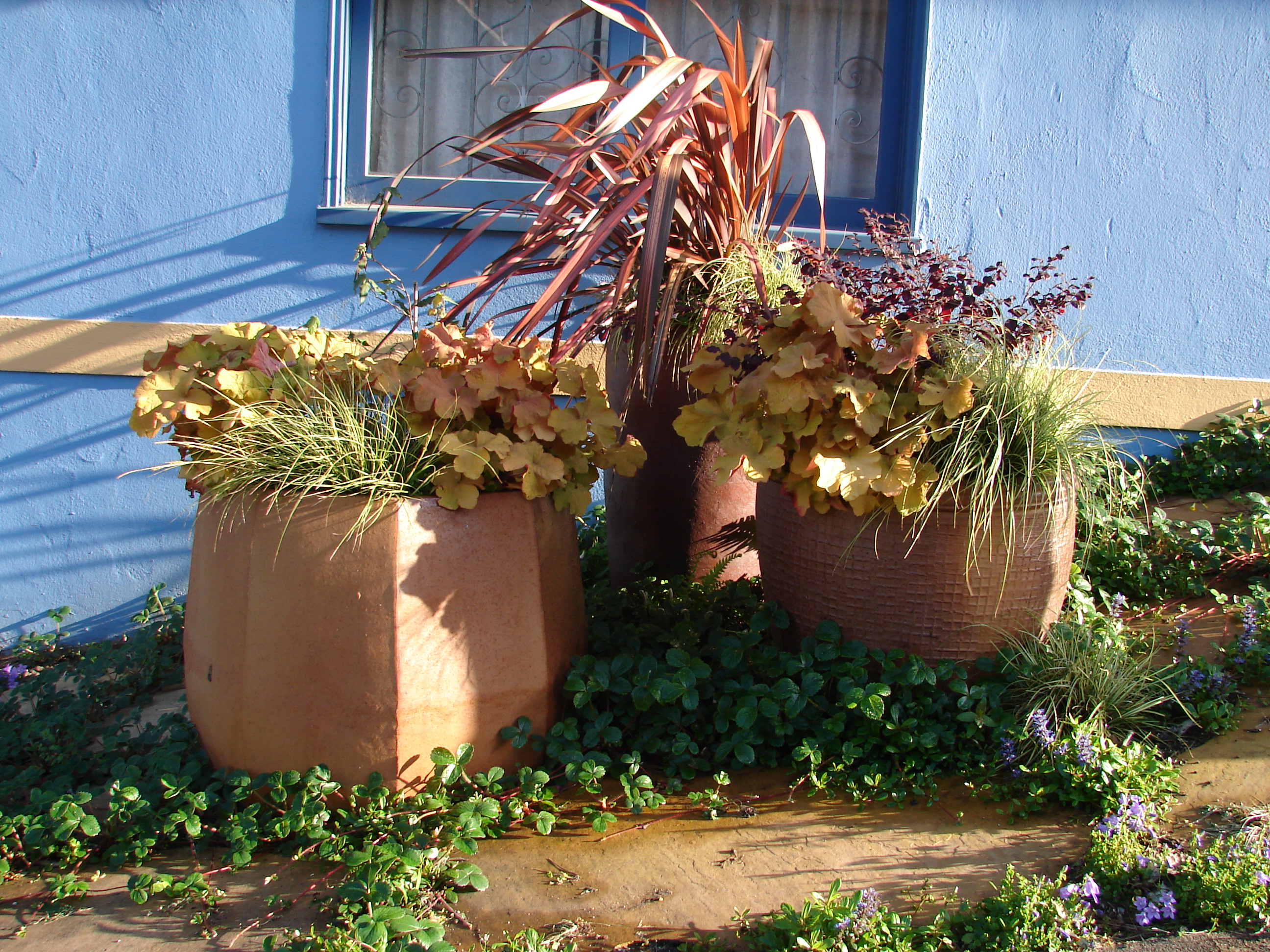 low maintenance container gardening